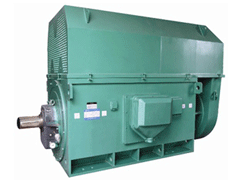 新化Y系列6KV高压电机